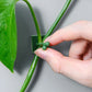 Sticky Clip™️ - Plant Wall Fixture