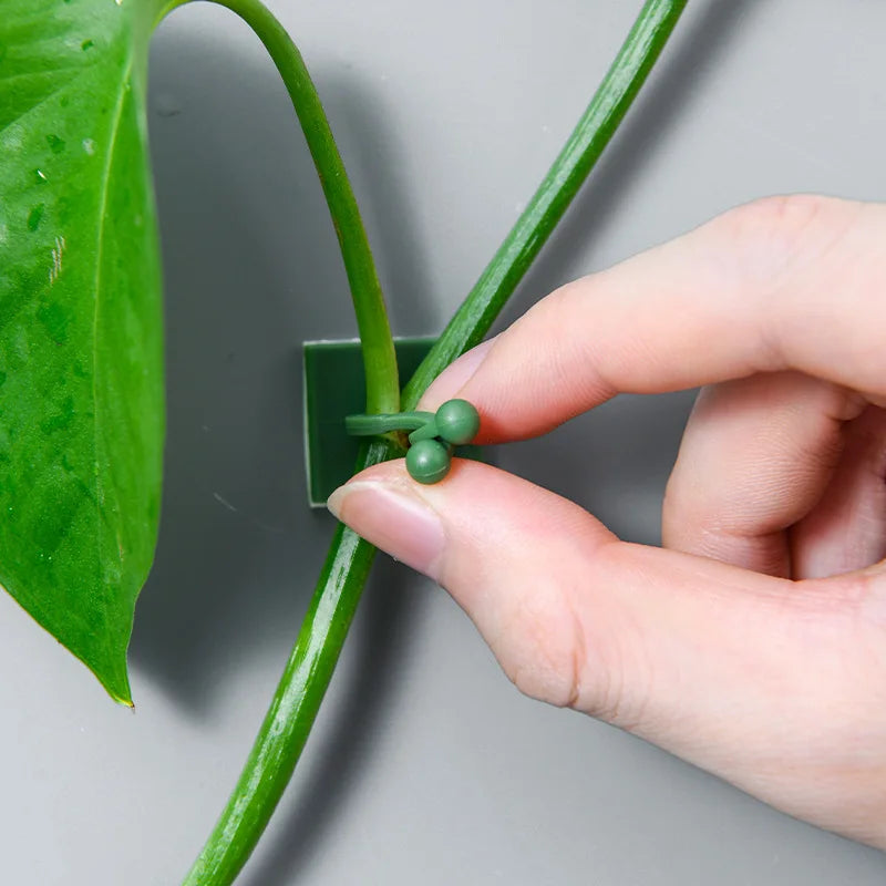 Sticky Clip™️ - Plant Wall Fixture