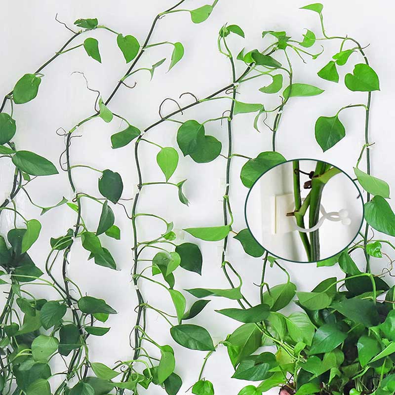 Sticky Clip™️ - Plant Wall Fixture