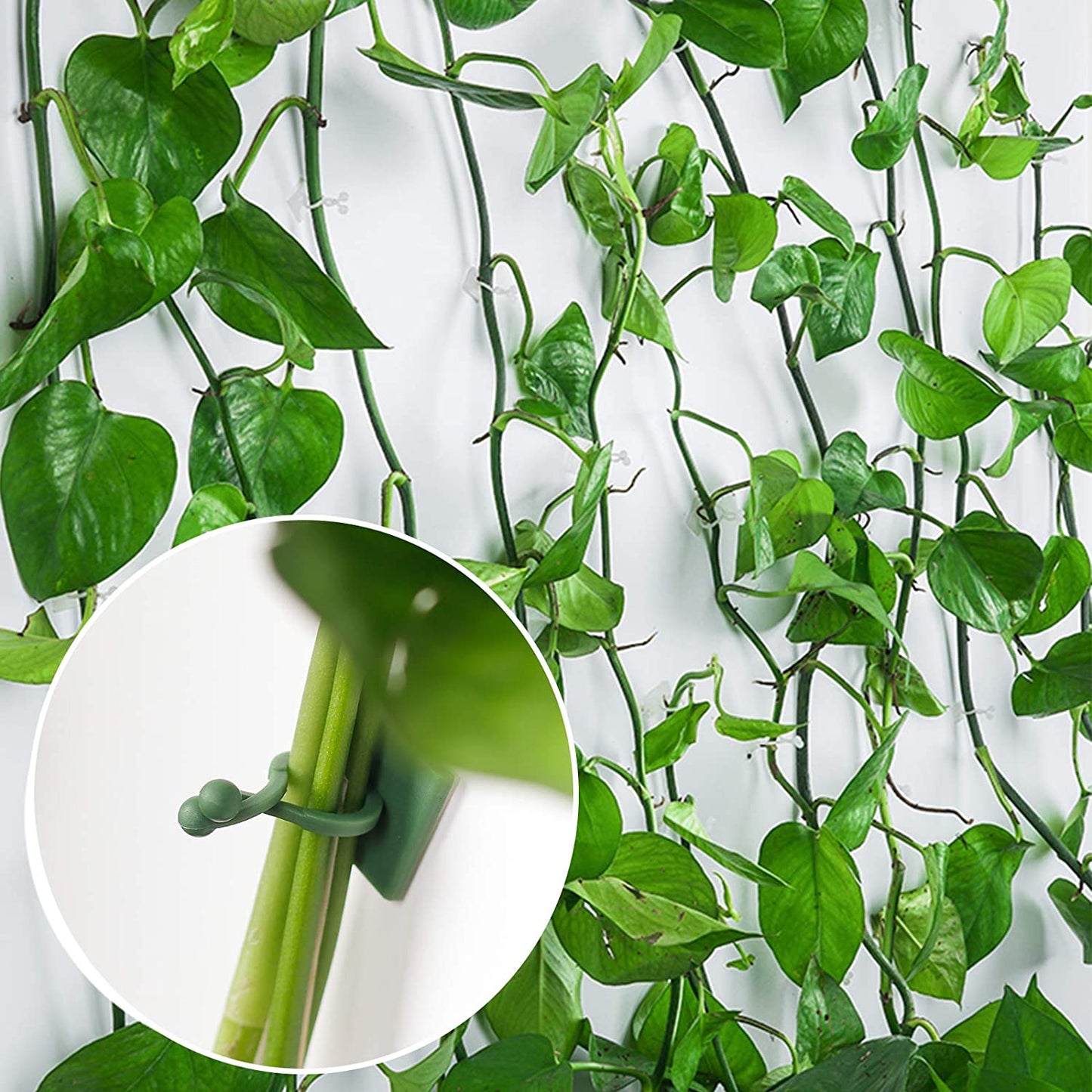 Sticky Clip™️ - Plant Wall Fixture
